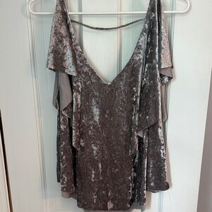 She + Sky Taupe Velvet Top